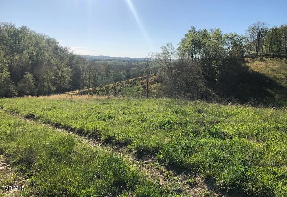 Photo #35: 3456 Warrensburg Road