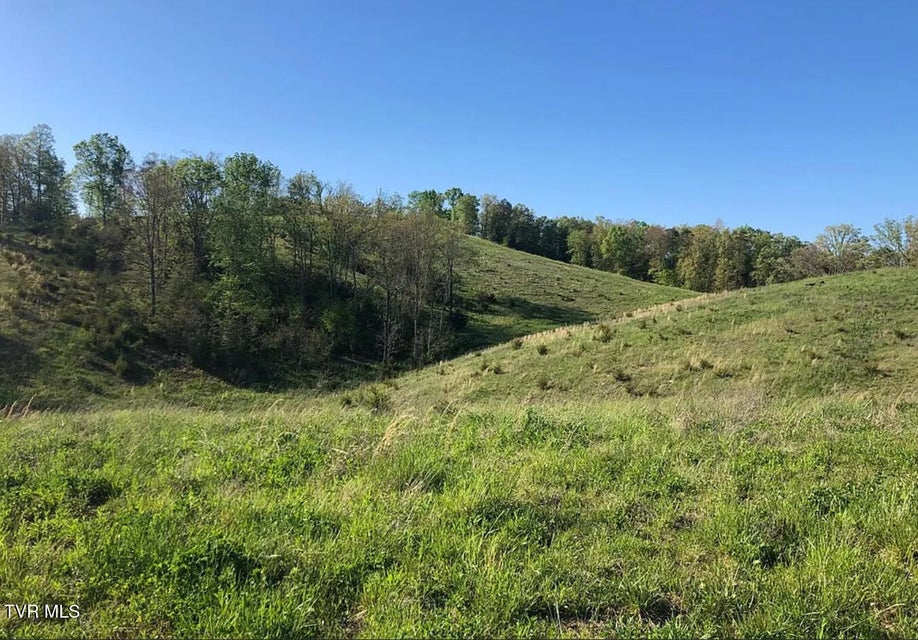 Photo #36: 3456 Warrensburg Road