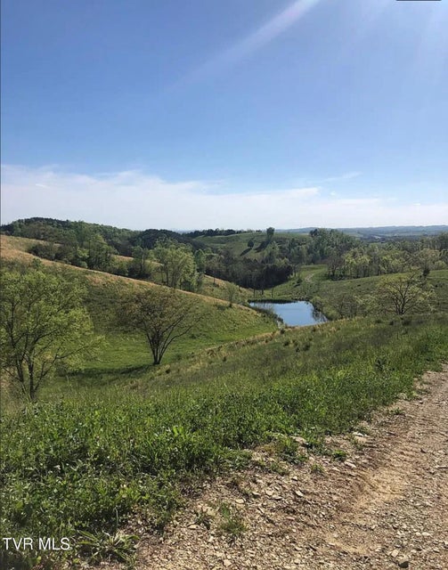 Photo #37: 3456 Warrensburg Road