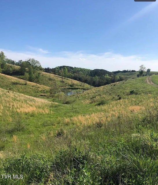 Photo #38: 3456 Warrensburg Road