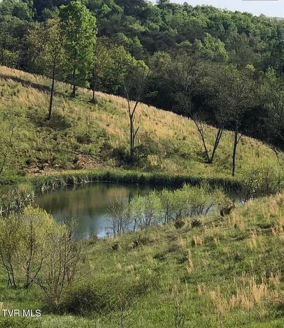 Photo #39: 3456 Warrensburg Road