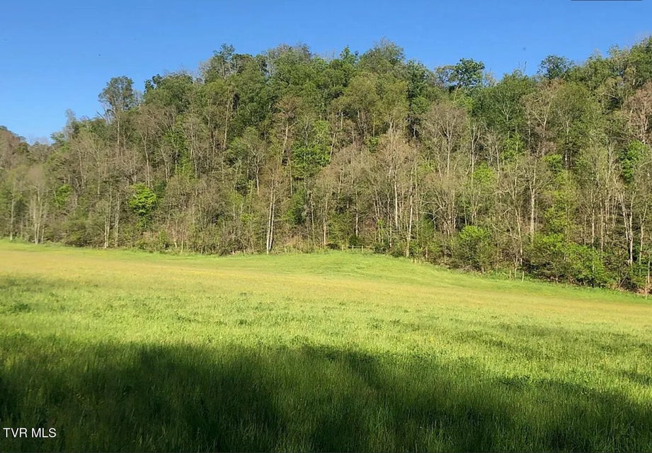 Photo #43: 3456 Warrensburg Road