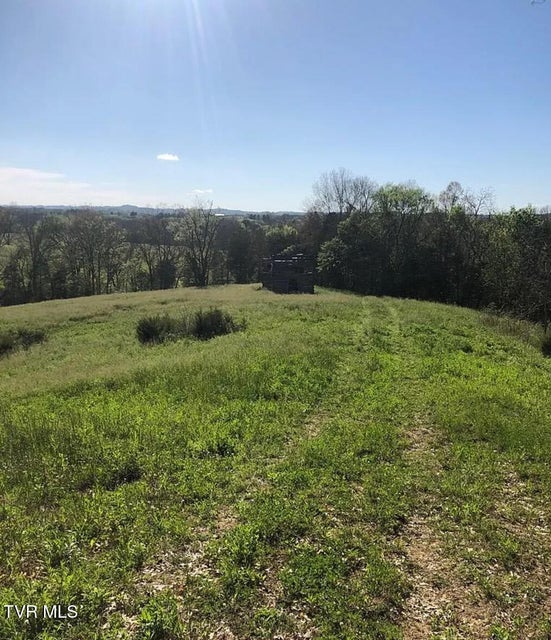 Photo #44: 3456 Warrensburg Road