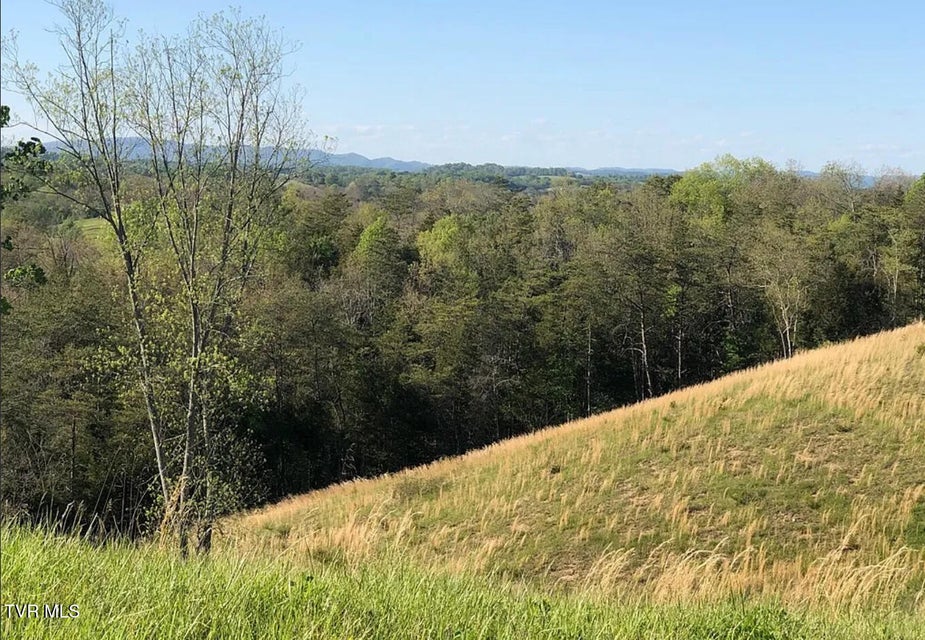 Photo #45: 3456 Warrensburg Road