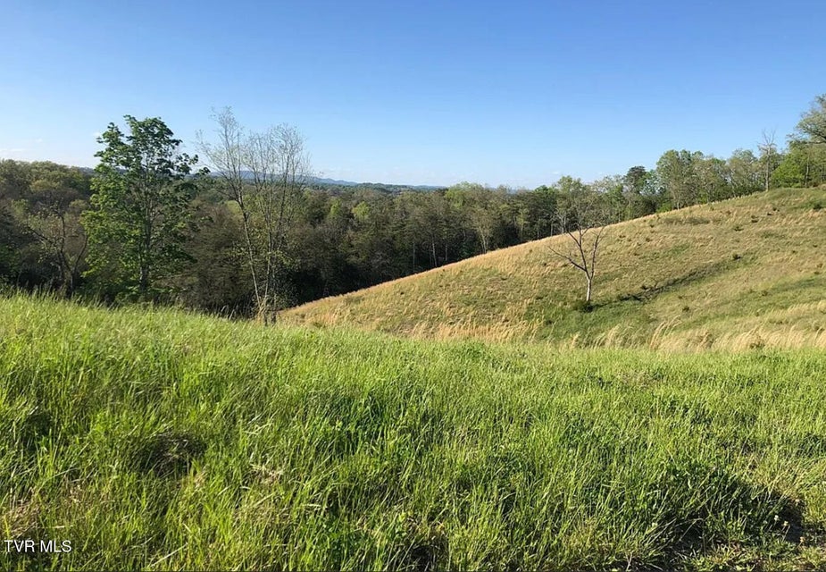 Photo #46: 3456 Warrensburg Road