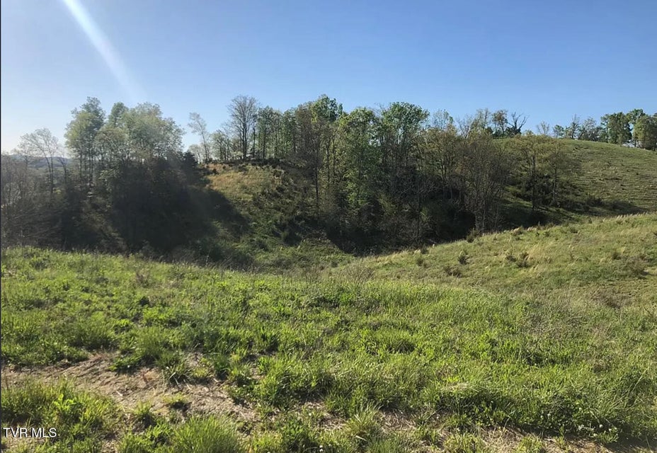 Photo #47: 3456 Warrensburg Road