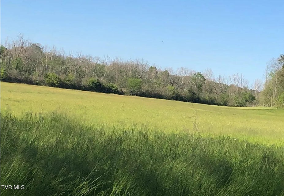 Photo #48: 3456 Warrensburg Road