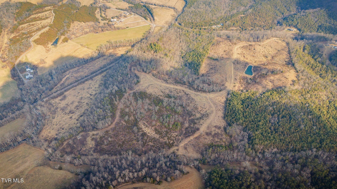 Photo #54: 3456 Warrensburg Road