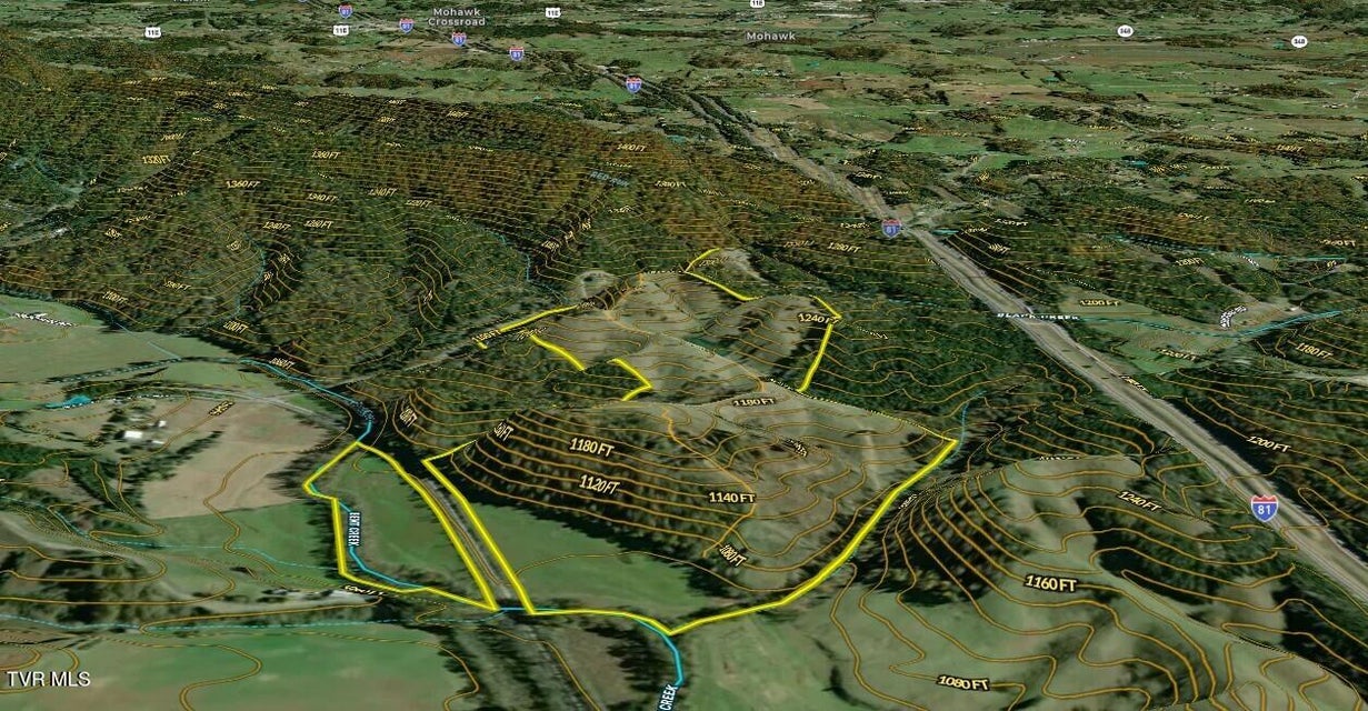 Photo #59: 3456 Warrensburg Road