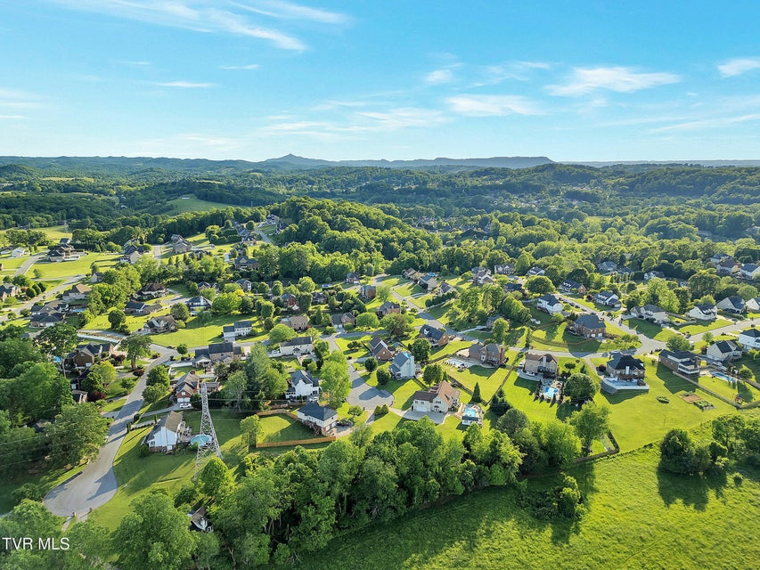 Photo #42: 509 Amelia Court