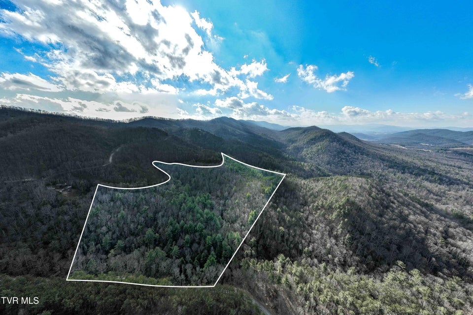 Photo #5: Tbd Locust Gap Road