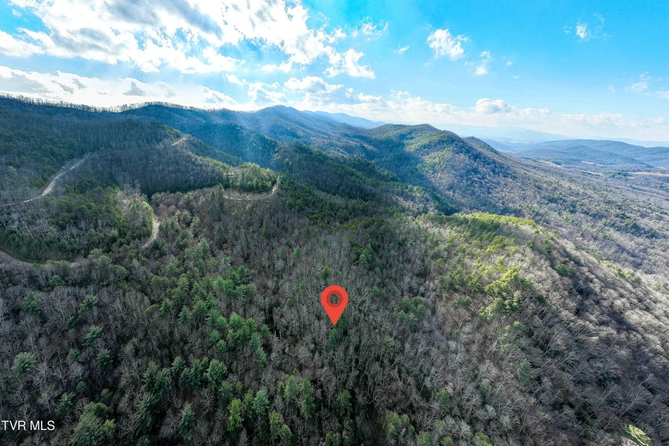 Photo #15: Tbd Locust Gap Road