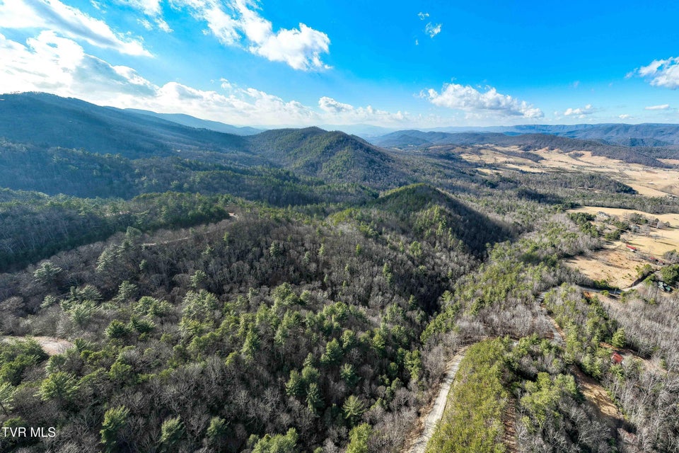 Photo #18: Tbd Locust Gap Road