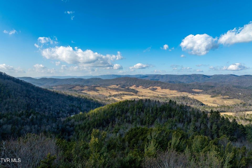 Photo #24: Tbd Locust Gap Road