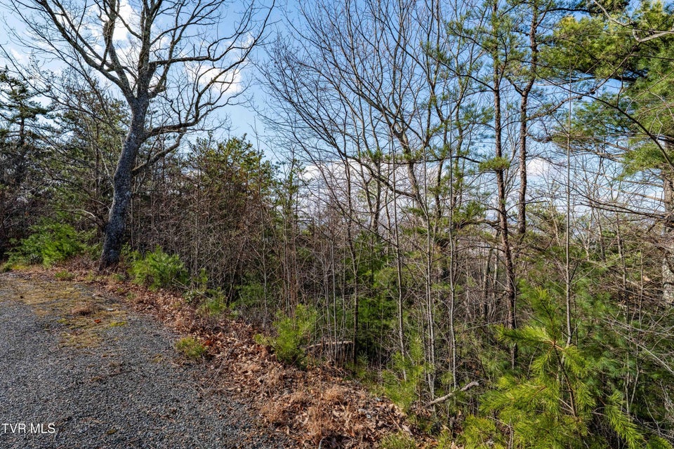 Photo #26: Tbd Locust Gap Road