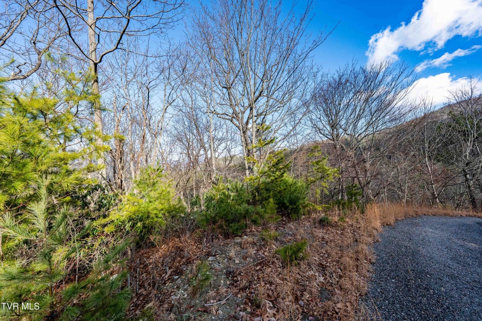 Photo #27: Tbd Locust Gap Road