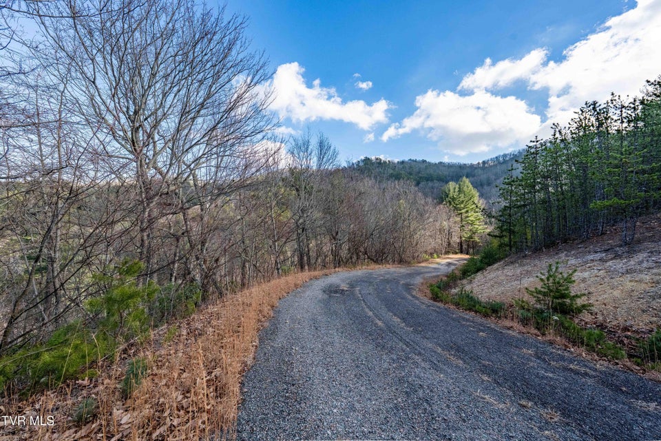 Photo #28: Tbd Locust Gap Road