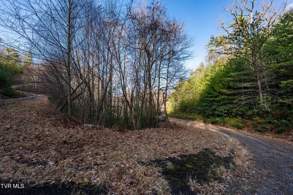 Photo #29: Tbd Locust Gap Road