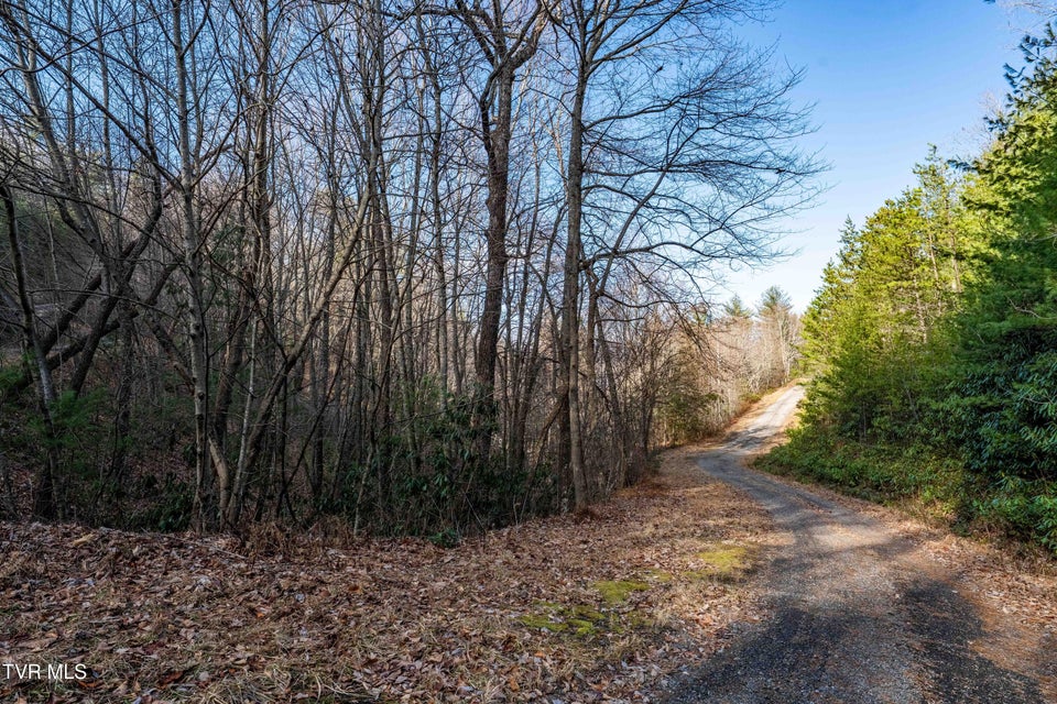 Photo #30: Tbd Locust Gap Road