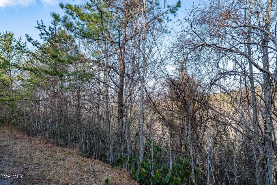 Photo #31: Tbd Locust Gap Road