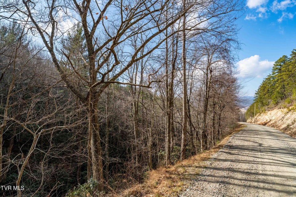 Photo #32: Tbd Locust Gap Road
