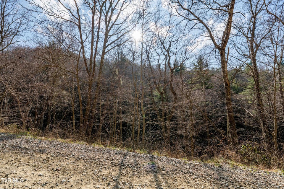 Photo #33: Tbd Locust Gap Road