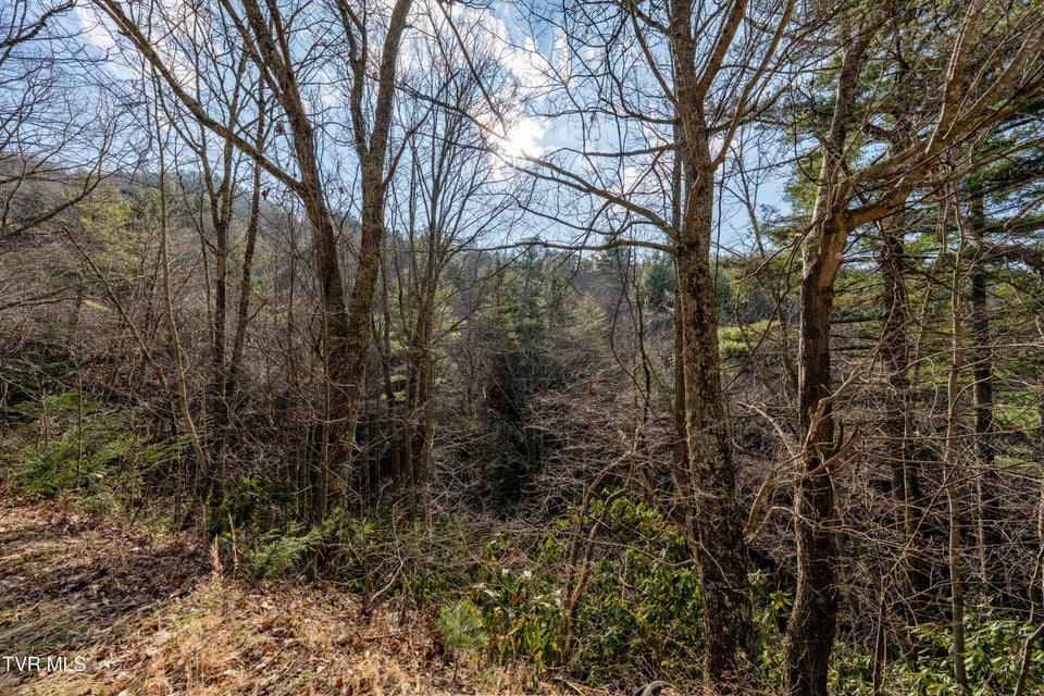 Photo #34: Tbd Locust Gap Road