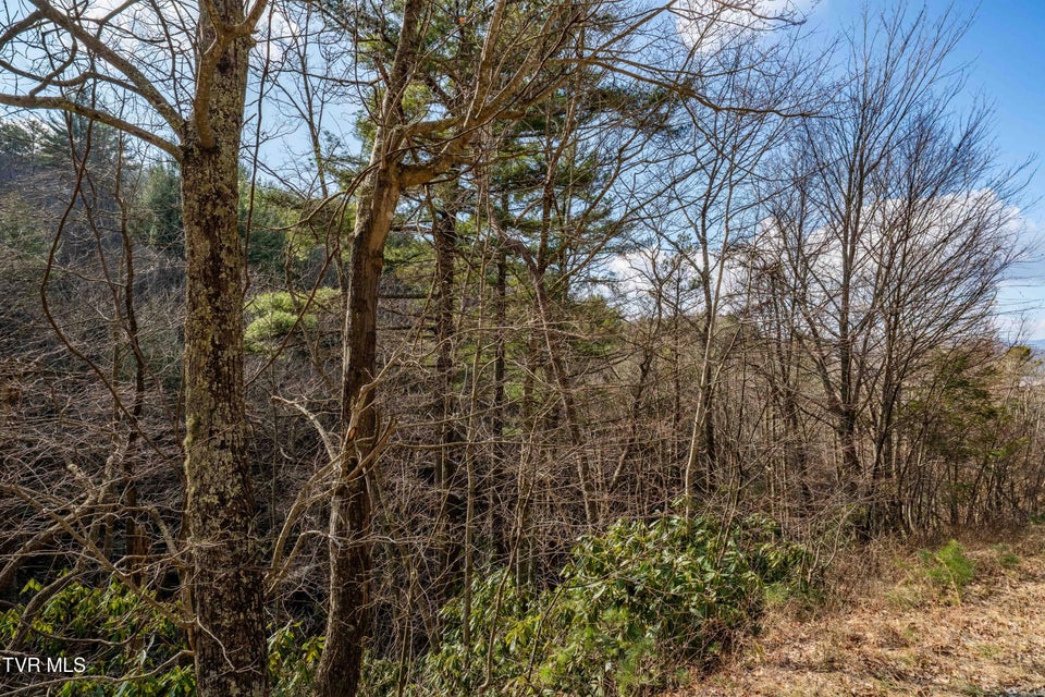 Photo #35: Tbd Locust Gap Road