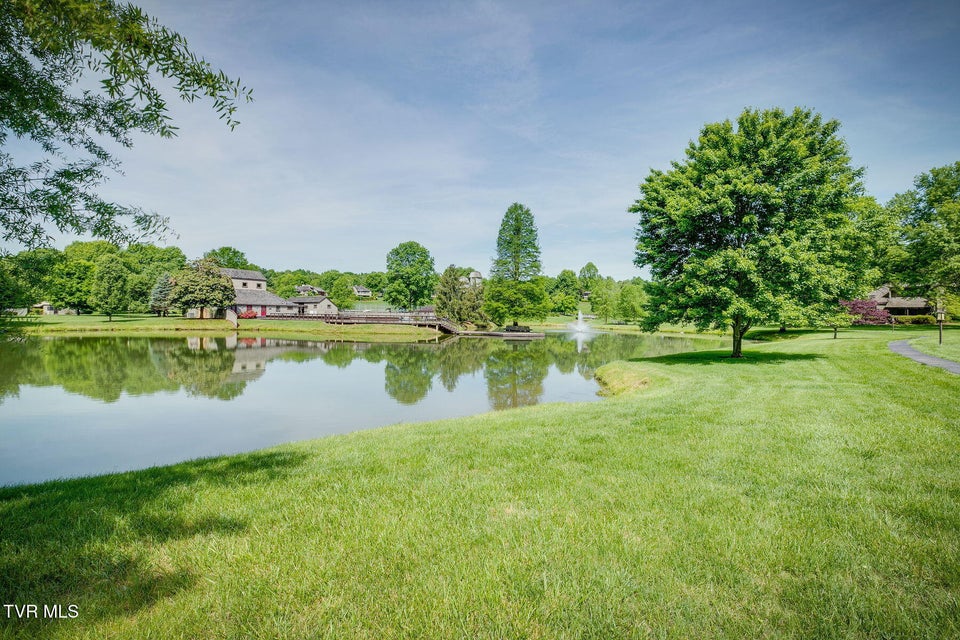 Photo #62: 150 Columbine Road