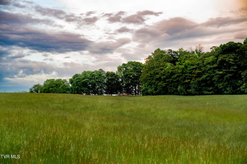 Photo #3: Tbd Old Hall Road Parcel  3 