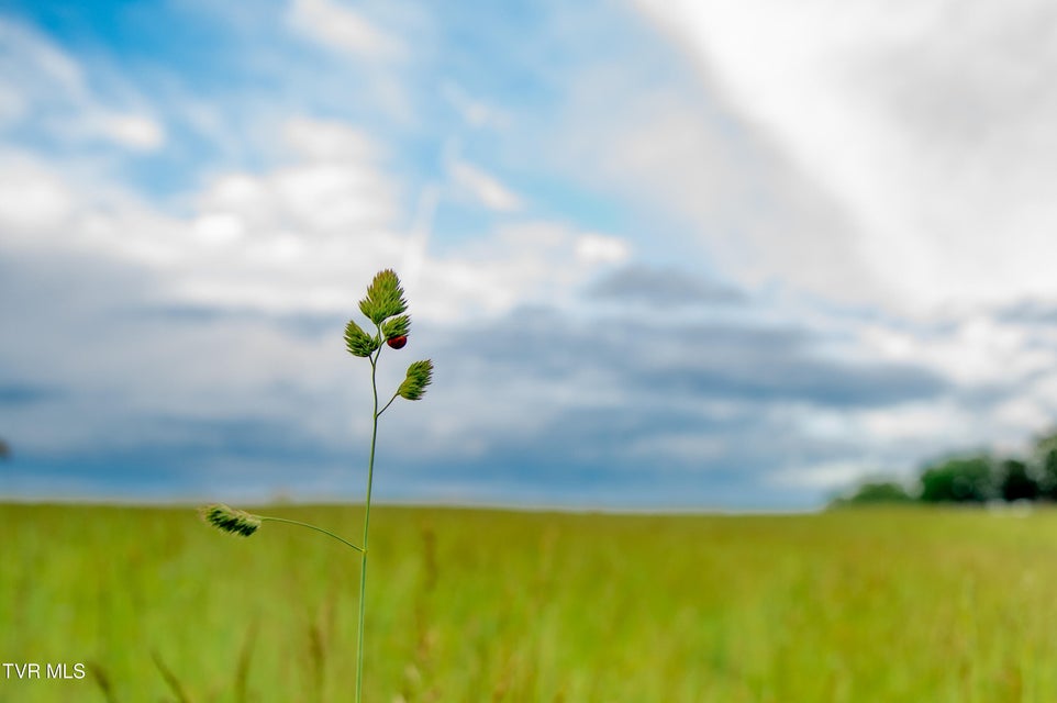 Photo #4: Tbd Old Hall Road Parcel  3 