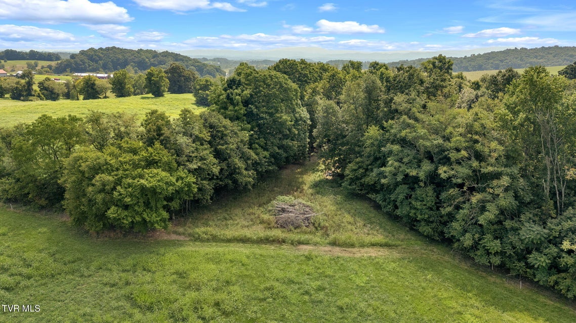 Photo #10: Tbd Old Hall Road Parcel  3 