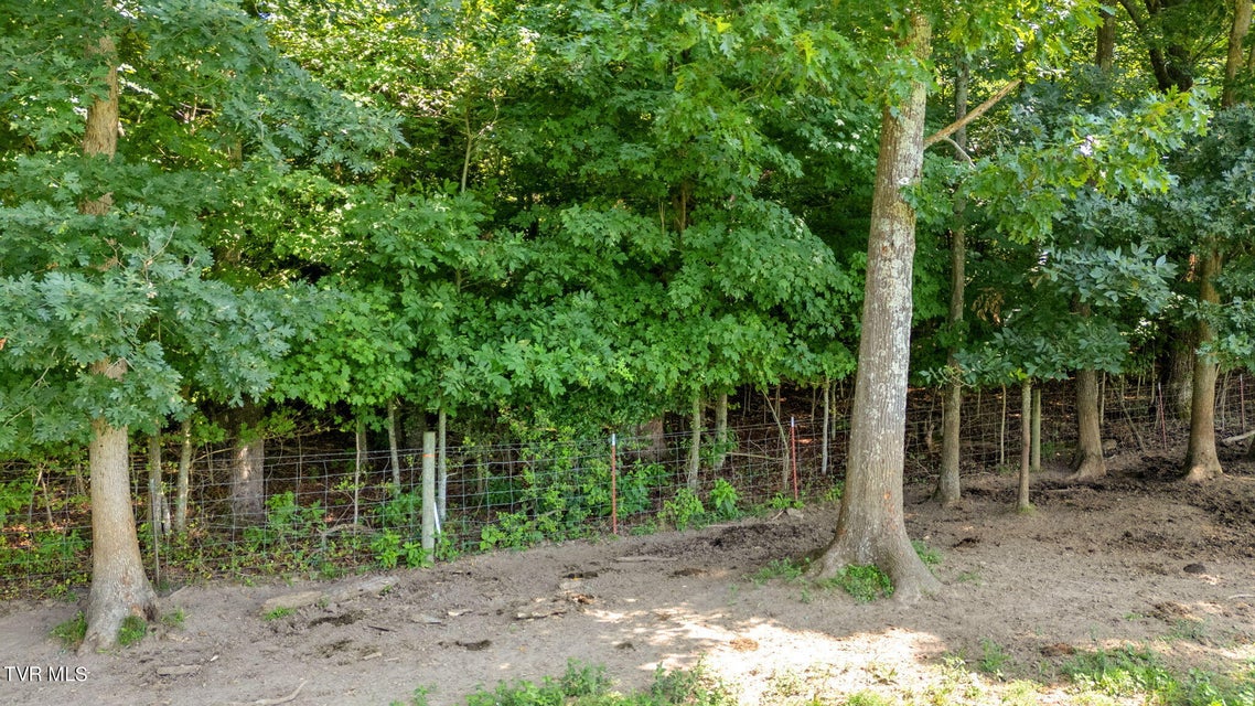 Photo #15: Tbd Old Hall Road Parcel  3 