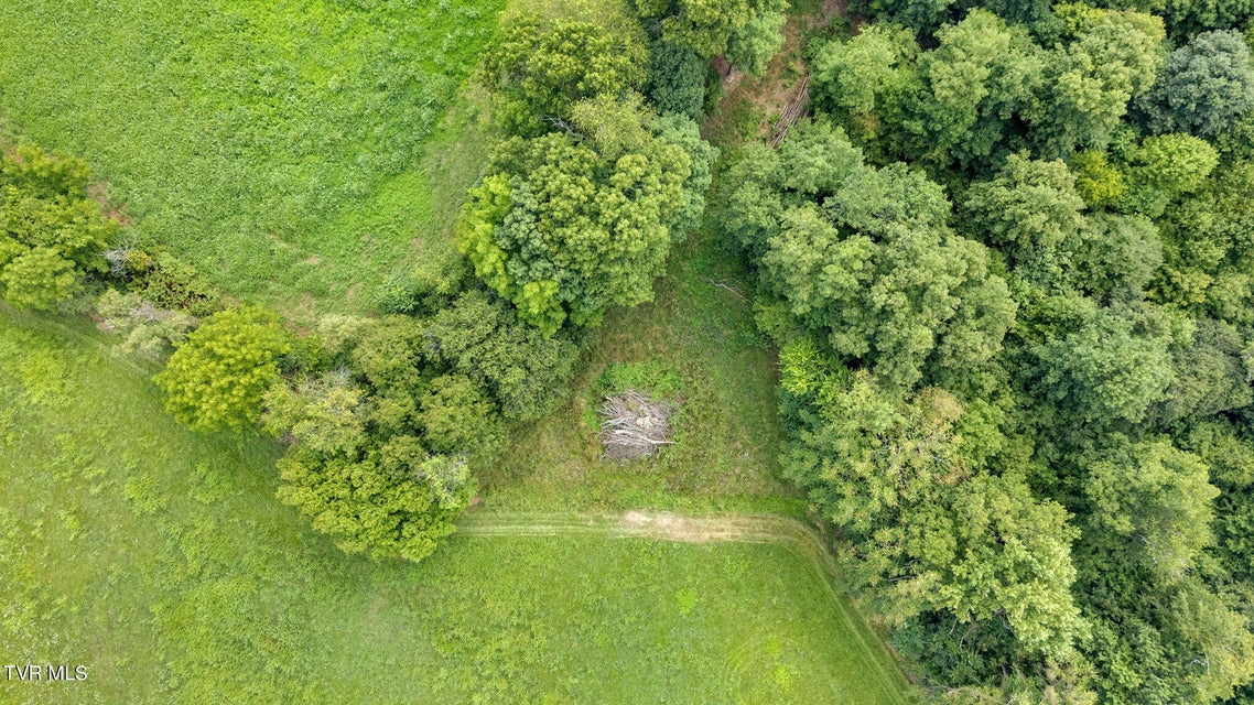 Photo #17: Tbd Old Hall Road Parcel  3 