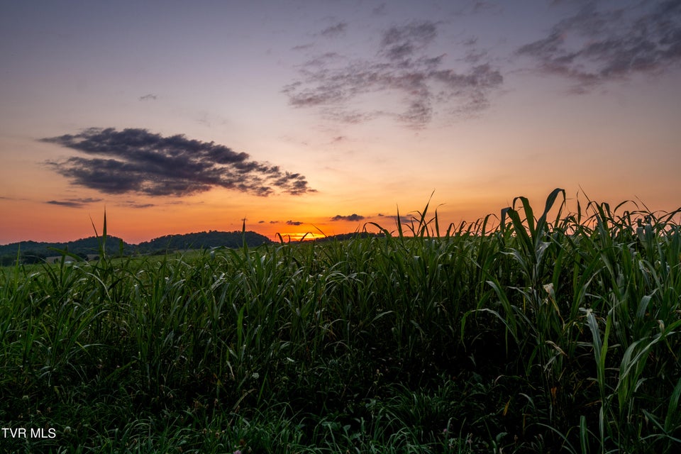 Photo #18: Tbd Old Hall Road Parcel  3 