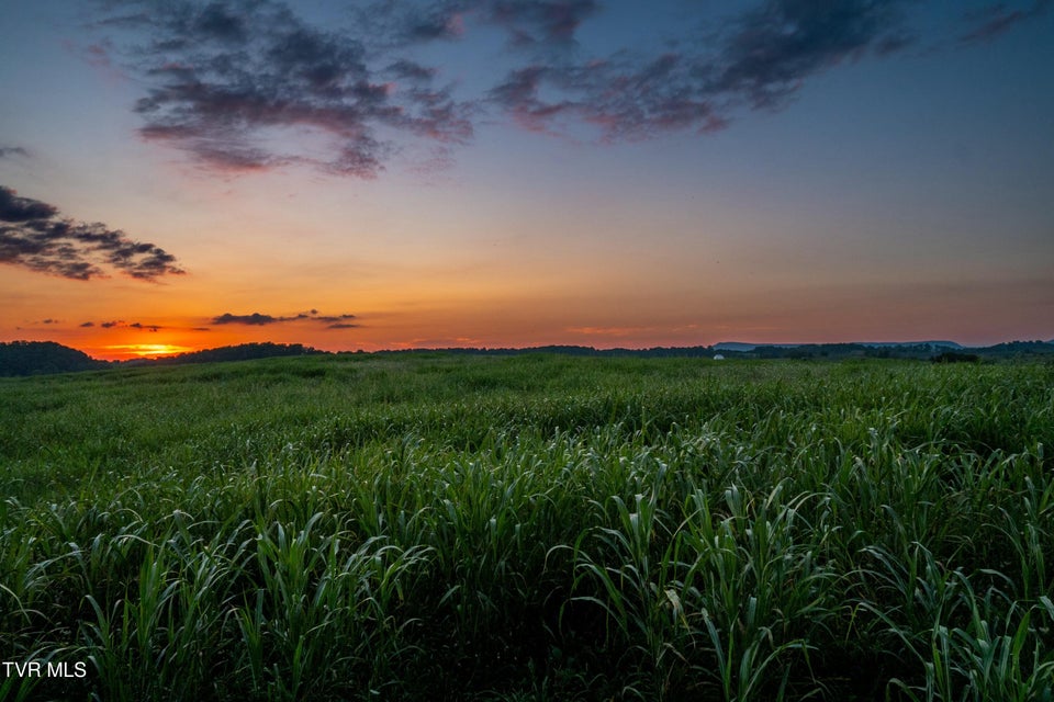 Photo #27: Tbd Old Hall Road Parcel  3 