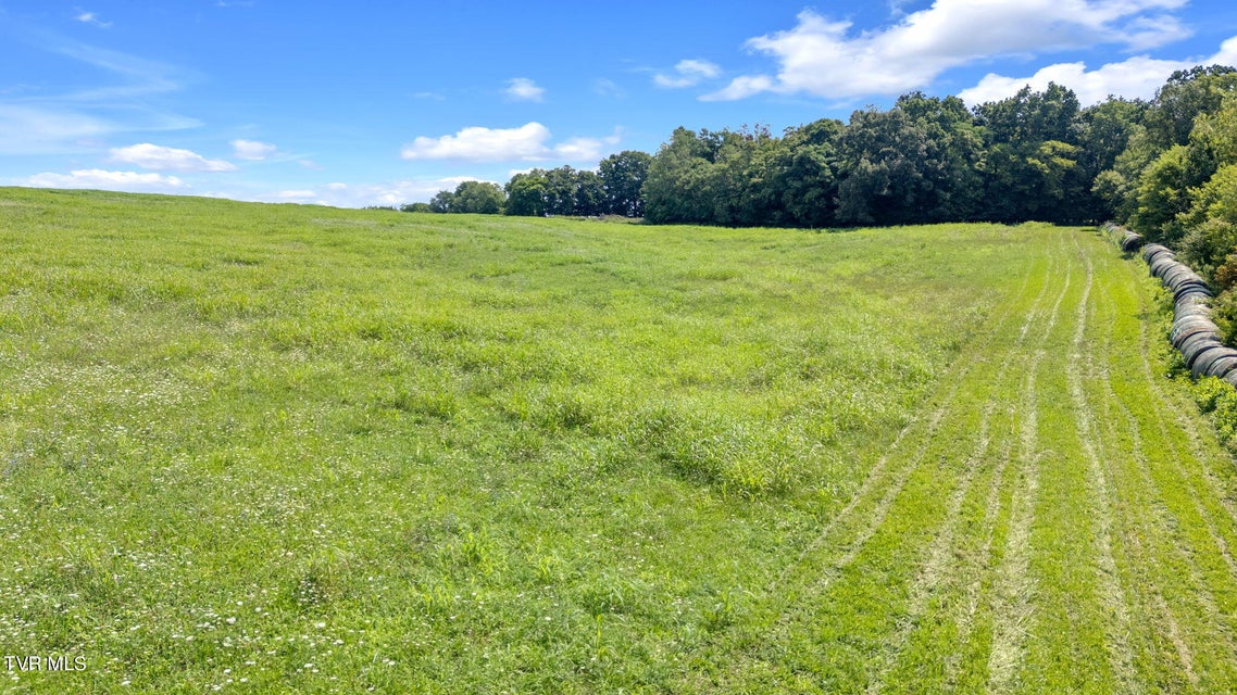 Photo #34: Tbd Old Hall Road Parcel  3 