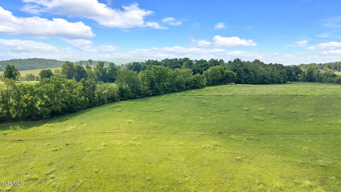 Photo #44: Tbd Old Hall Road Parcel  3 