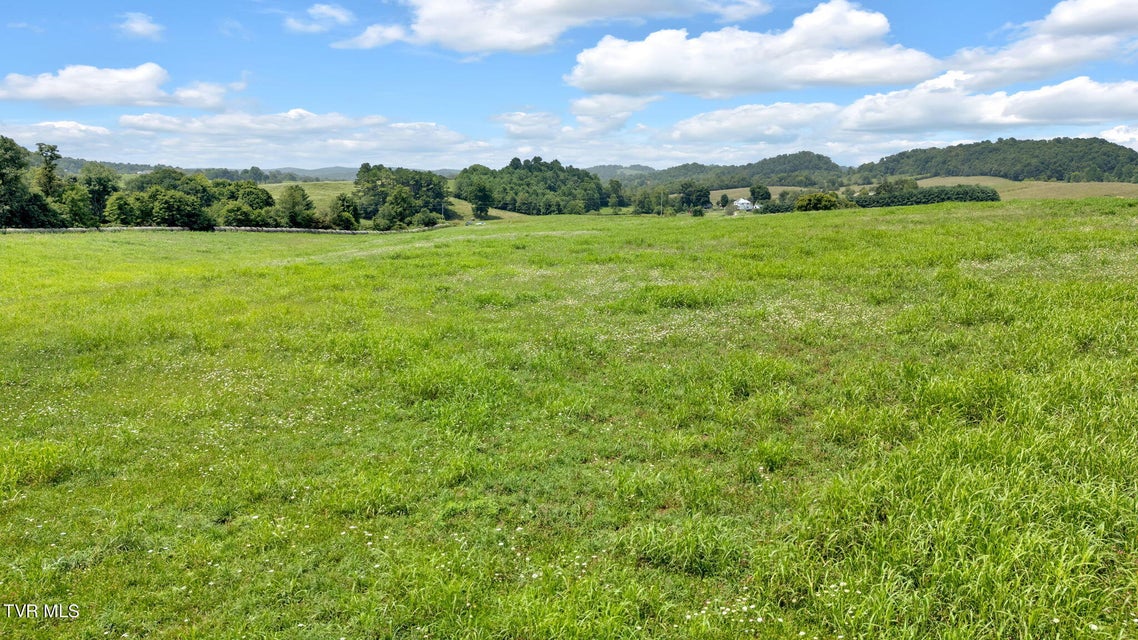 Photo #47: Tbd Old Hall Road Parcel  3 