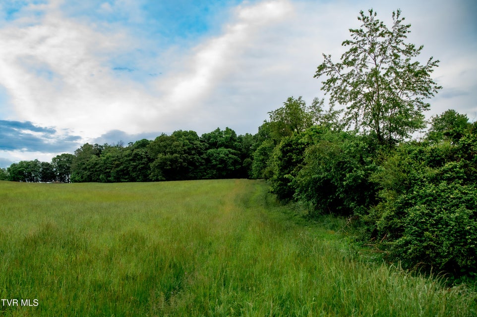 Photo #3: Tbd Old Hall Road Parcel'S 3 & 4 