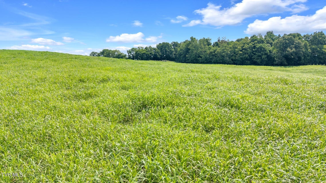 Photo #41: Tbd Old Hall Road Parcel'S 3 & 4 