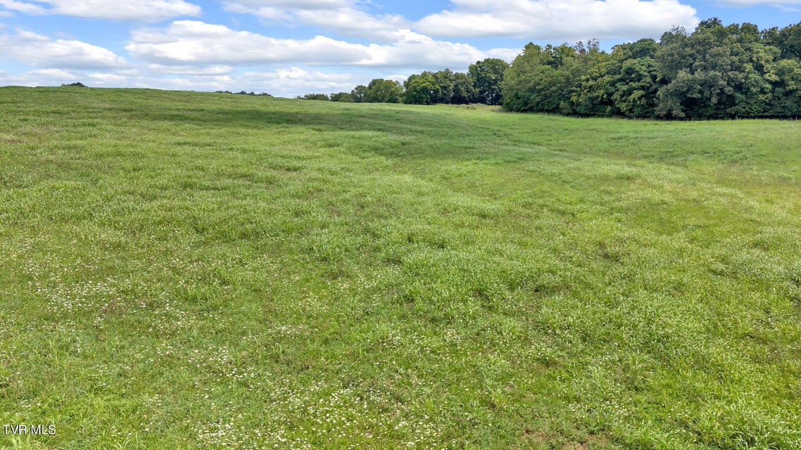 Photo #45: Tbd Old Hall Road Parcel'S 3 & 4 