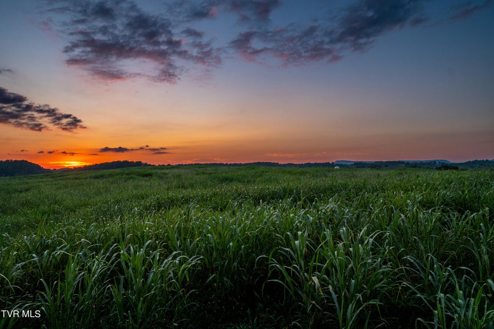 Photo #48: Tbd Old Hall Road Parcel'S 3 & 4 