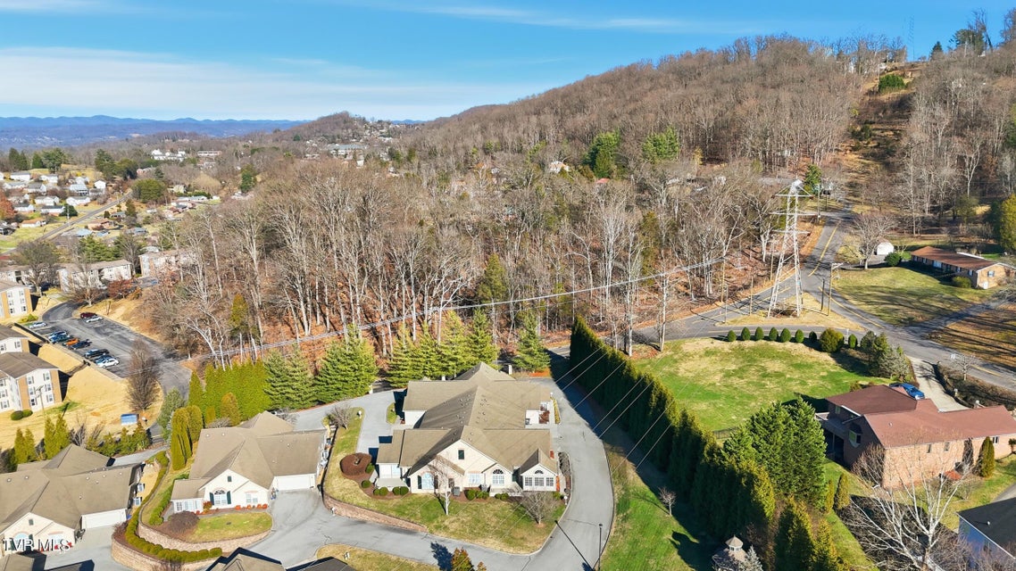 Photo #39: 1721 Skyland Falls Court