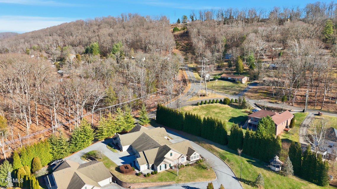 Photo #40: 1721 Skyland Falls Court