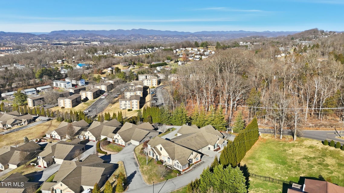 Photo #41: 1721 Skyland Falls Court