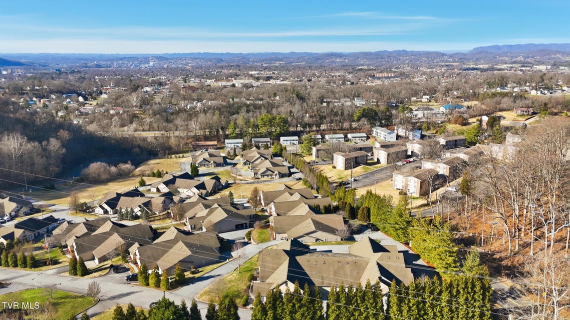 Photo #42: 1721 Skyland Falls Court