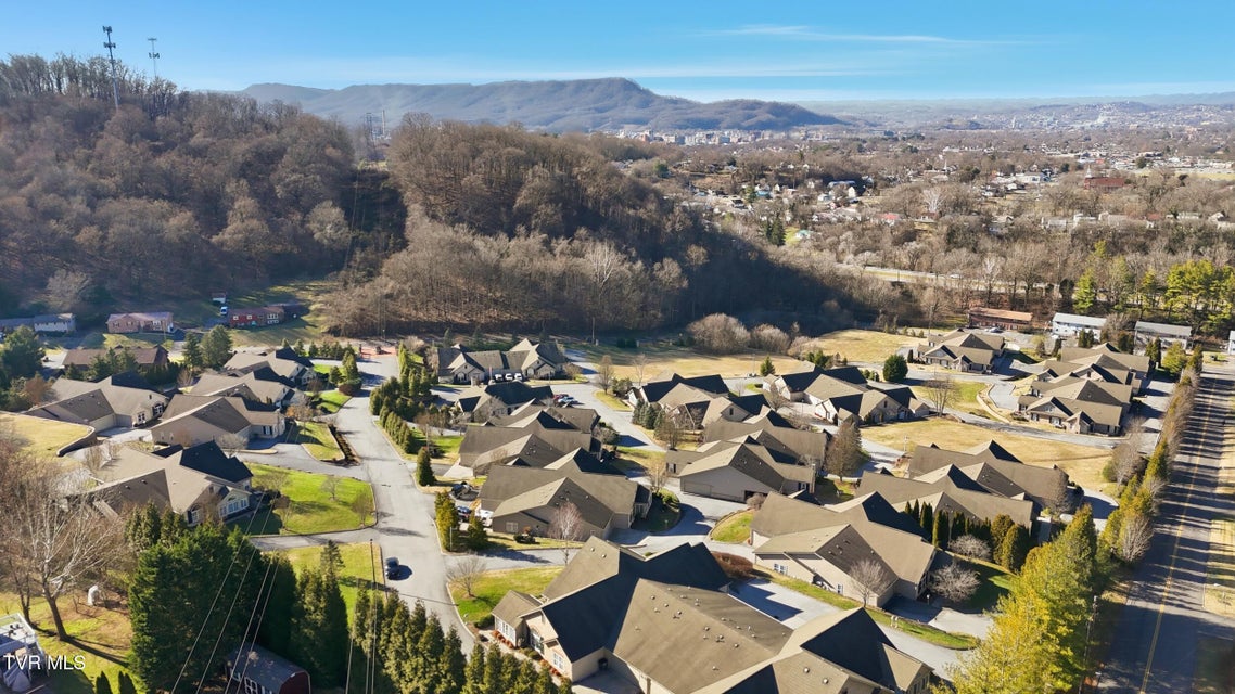 Photo #43: 1721 Skyland Falls Court