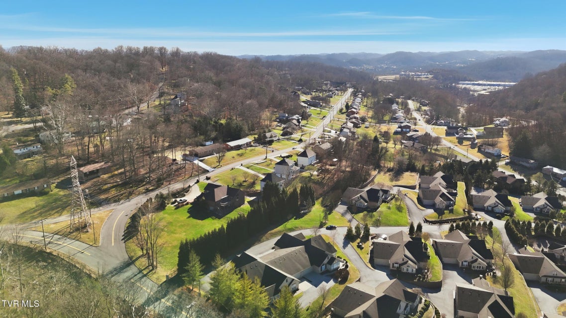 Photo #45: 1721 Skyland Falls Court