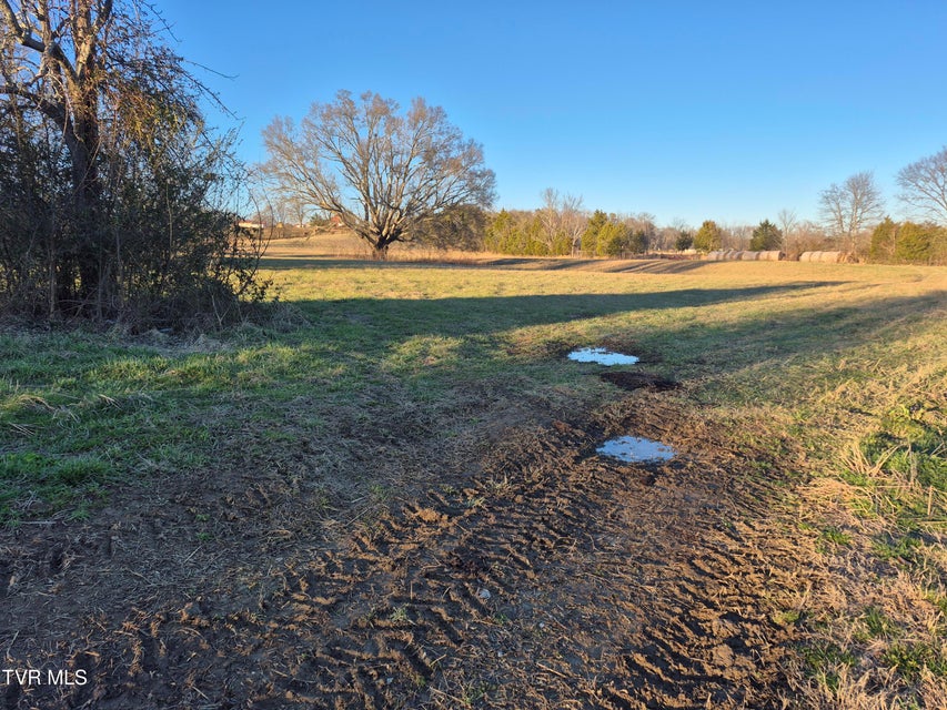 Photo #5: 0 Cw Kite Ln 